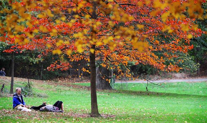 O Prospect Park recebe uma das melhores queima de fogos da cidade