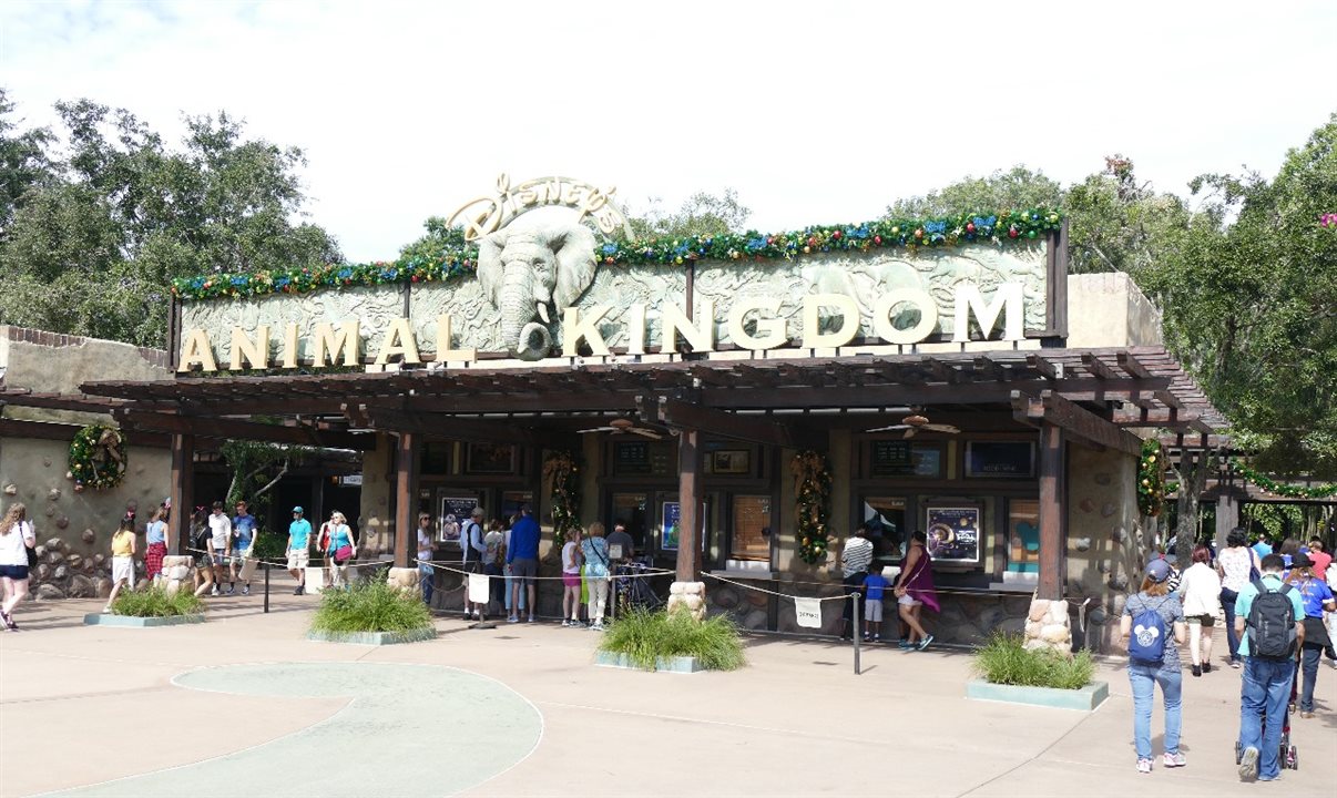 Normalmente, o horário noturno estendido acontece no Magic Kingdom, Epcot ou Hollywood Studios, mas em maio, a ação estará de volta ao Disney's Animal Kingdom