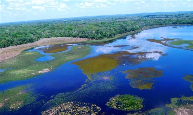 Foto aérea do Pantanal