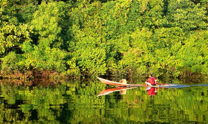 A Amazônia brasileira ocupa a décima posição no ranking das melhores regiões da Lonely Planet