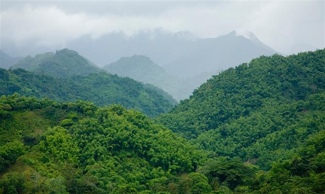 Montanhas Azuis, ideais para os aventureiros que visitam a Jamaica