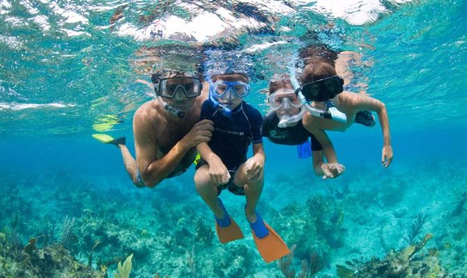 Há opções de mergulho tanto para iniciantes como para turistas mais experientes