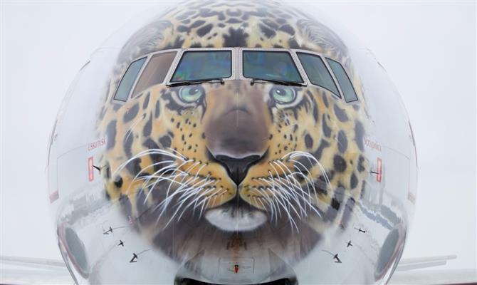 O nariz da aeronave