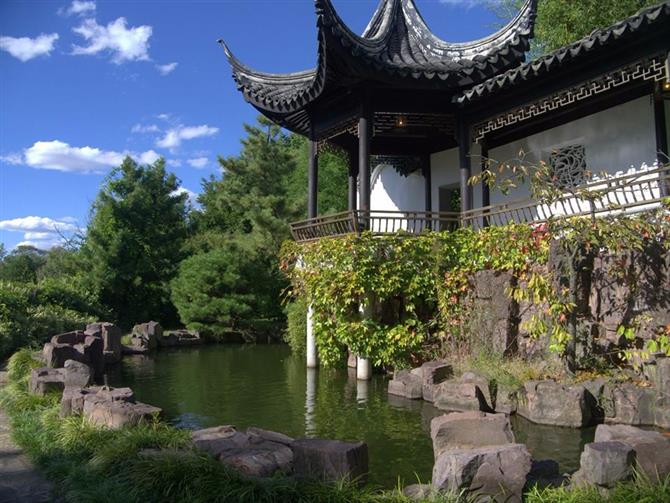 Chinese Scholar Garden