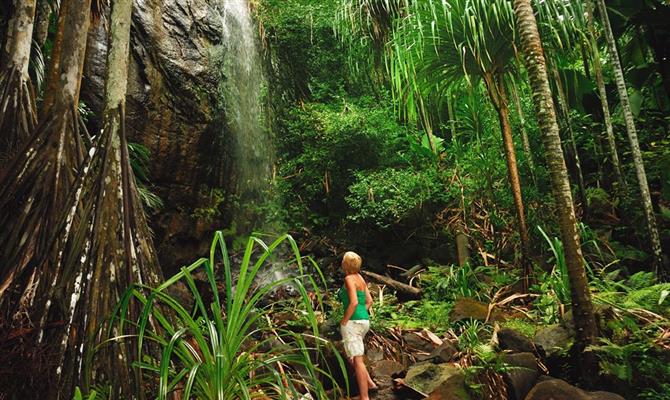 O Parque Nacional Vallée de Mai, um dos tesouros sustentáveis de Seychelles