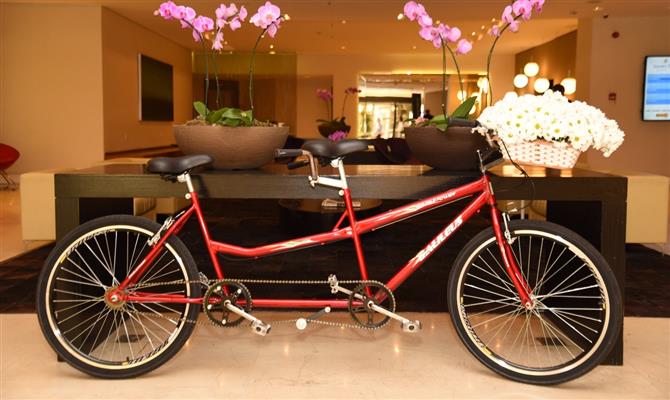 Bicicletas duplas que farão parte da decoração do hotel