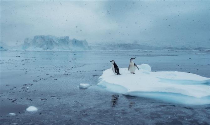 Roteiro mais caro do Couture Collection, o White Desert & South Pole leva os viajantes ao encontro de pinguins-imperadores na Antártida