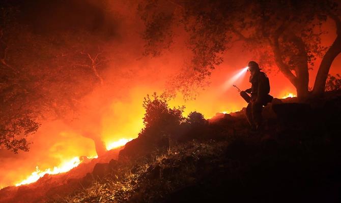 Incêndios causaram danos de mais de US$ 3,5 bilhões na Califórnia