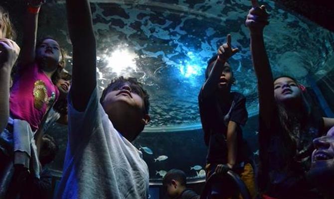 Os visitantes poderão acampar dentro do maior aquário da América Latina