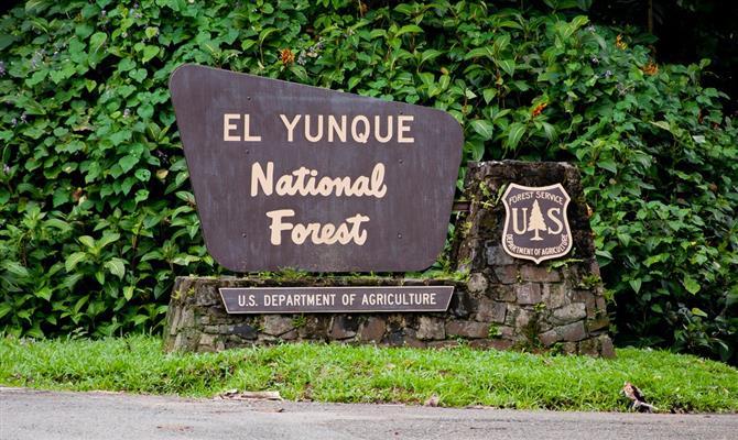 Parque nacional El Yunque segue fechado aos visitantes