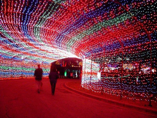 Trail of lights, em Austin, acontece em dezembro