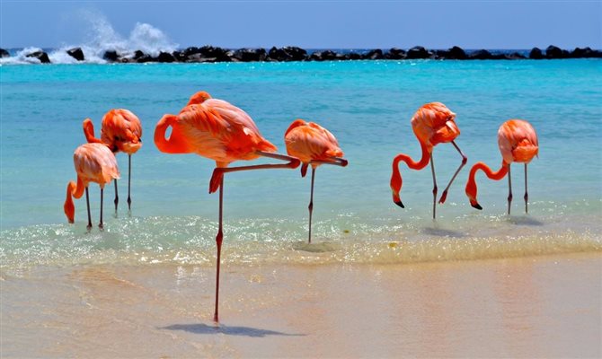 A plataforma é uma iniciativa da Autoridade de Turismo de Aruba e agências de comunicação
