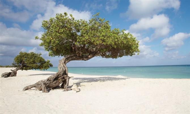 Praias paradisíacas são o principal atrativo de Aruba