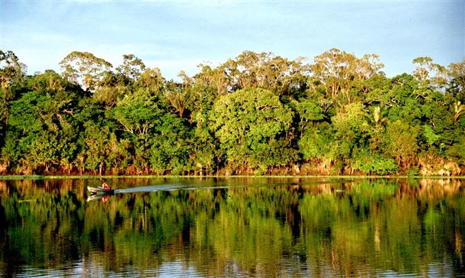 Rio Urubu, na Amazônia