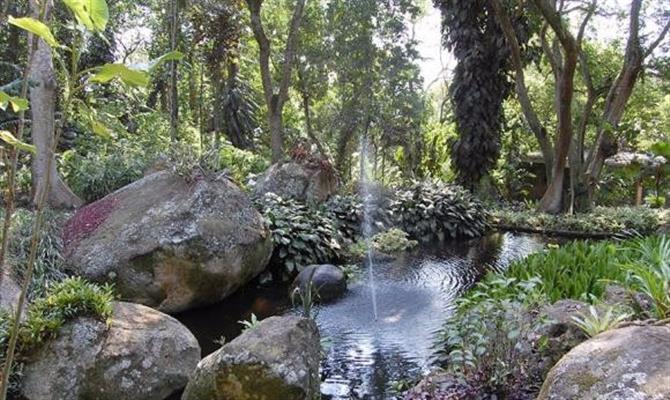 Local abriga quase quatro mil plantas tropicais e semitropicais