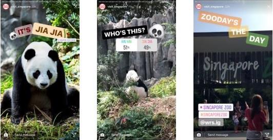 Usar gifs e pesquisas ajudam no engajamento e interatividade de seu Instagram