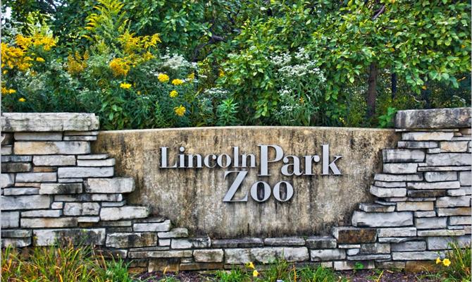  Lincoln Park Zoo lança programa de aulas que vão de yoga a zumba