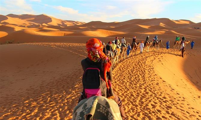 Passeios a camelo pelo Deserto do Saara atraem turistas do mundo todo