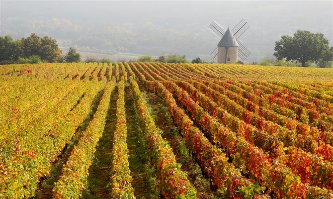 Borgonha, na França, país mais visitado do planeta por turistas estrangeiros