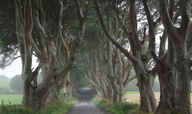 Irlanda do Norte viu Turismo crescer após cenas em Game of Thrones