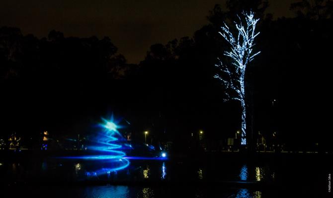 São quase 2 milhões de lâmpadas para 180 árvores que cercam o lago onde está a fonte