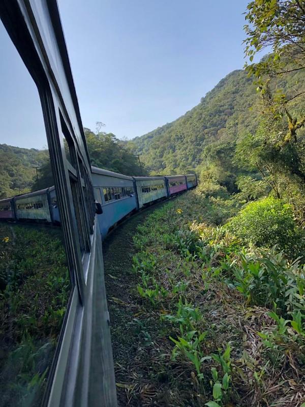 Mais de 150 autoridades embarcaram no trem Serra Verde e adentraram a Mata Atlântica para discutir a região