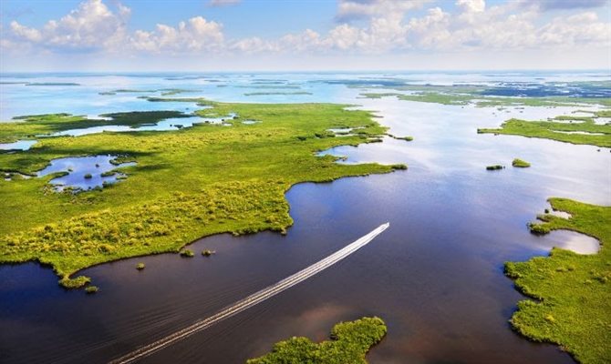 Uma das maneiras mais emocionantes de percorrer os Everglades é a bordo de um aerobarco