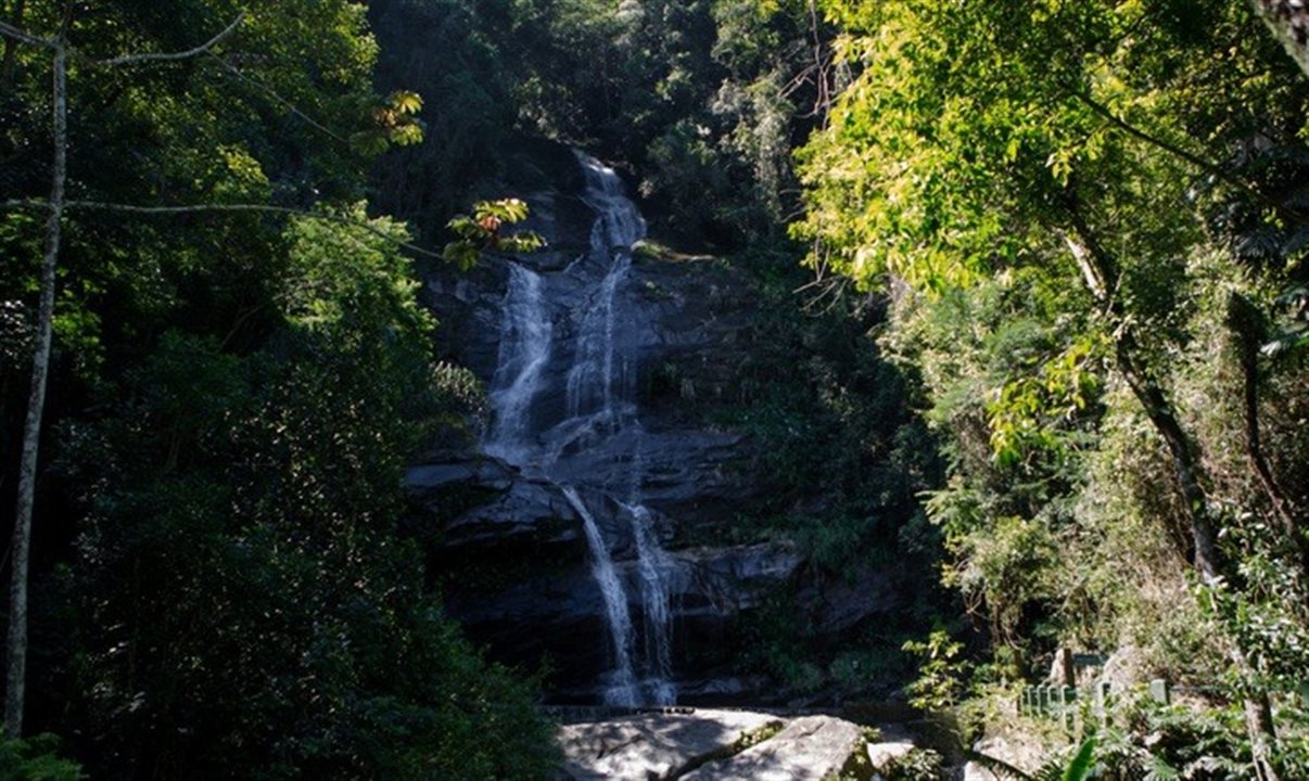 O Parque Nacional da Tijuca, no Rio de Janeiro, recebeu o maior volume de visitas em 2021 entre os parques nacionais