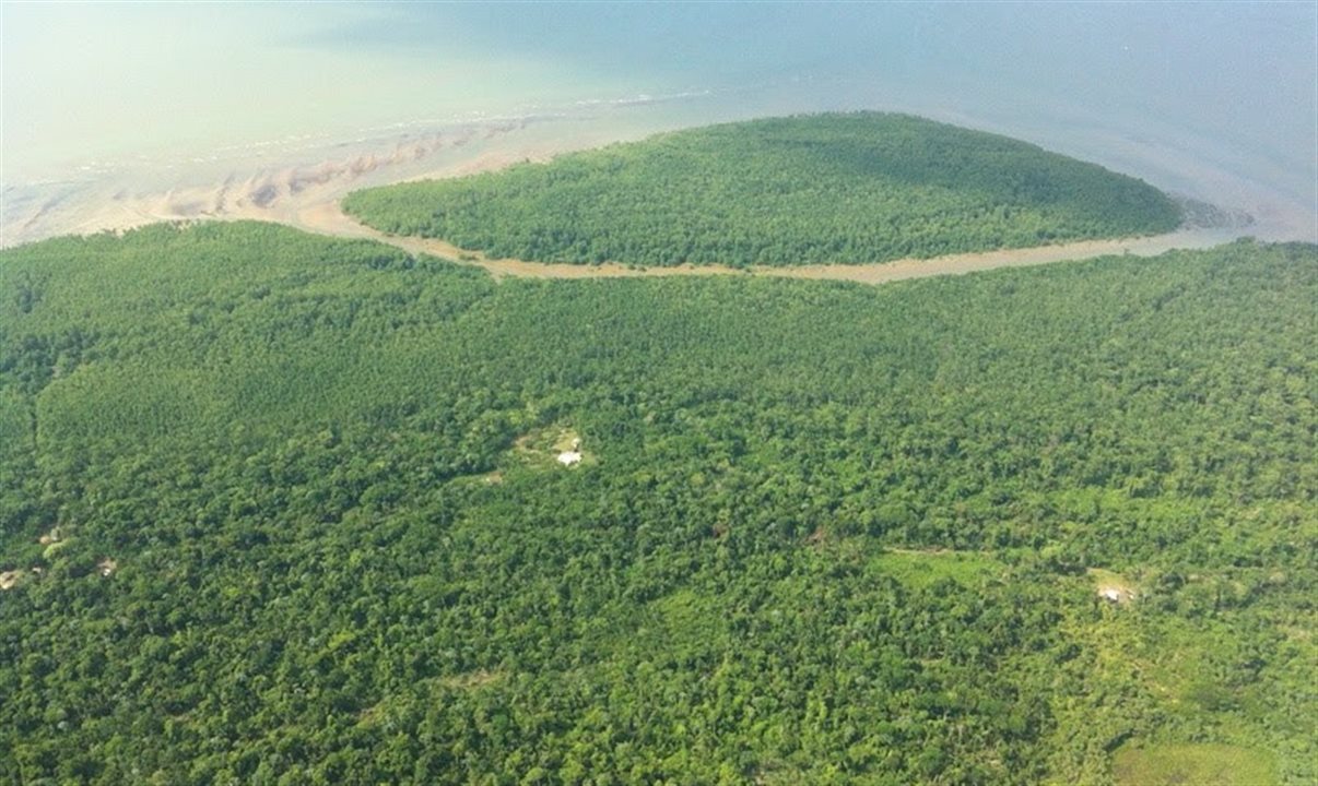 Com a aquisição de crédito de carbono de área de conservação florestal com manejo sustentável na Amazônia