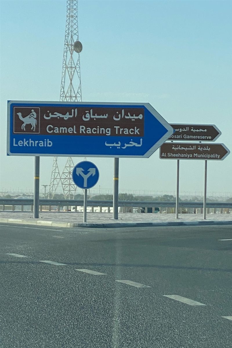 Uma das principais estradas do destino alerta sobre a passagem de camelos