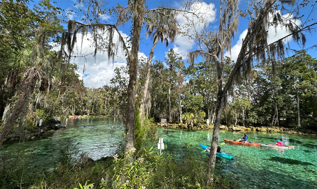 A poucas horas de Orlando e Tampa, Crystal River é uma cidade quase escondida na zona rural da Flórida, um paraíso e santuário de manatees/peixes boi