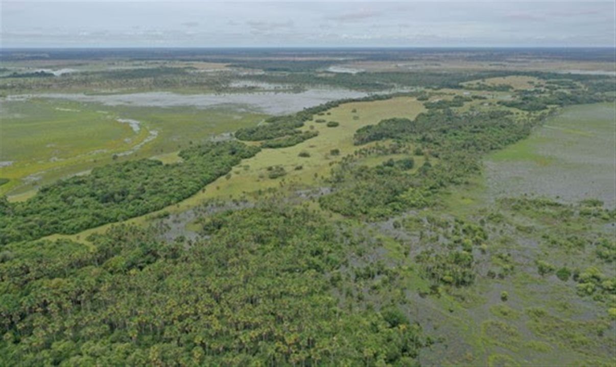 O projeto prevê capturar 11,3 milhões de toneladas de CO2 até 2030 em uma área de 575 mil hectares