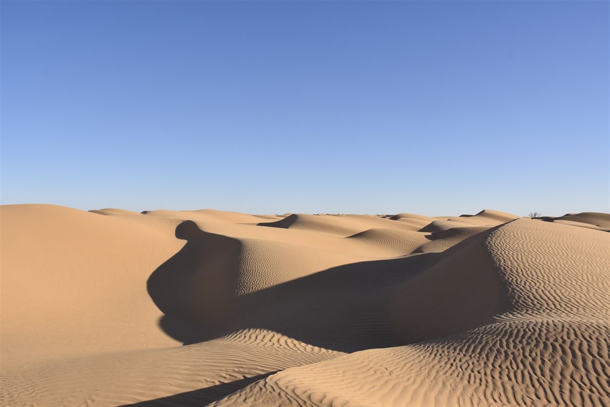 Profissionais da Ásia Total, Flot Viagens, Schultz e Une World conheceram o deserto da Tunísia