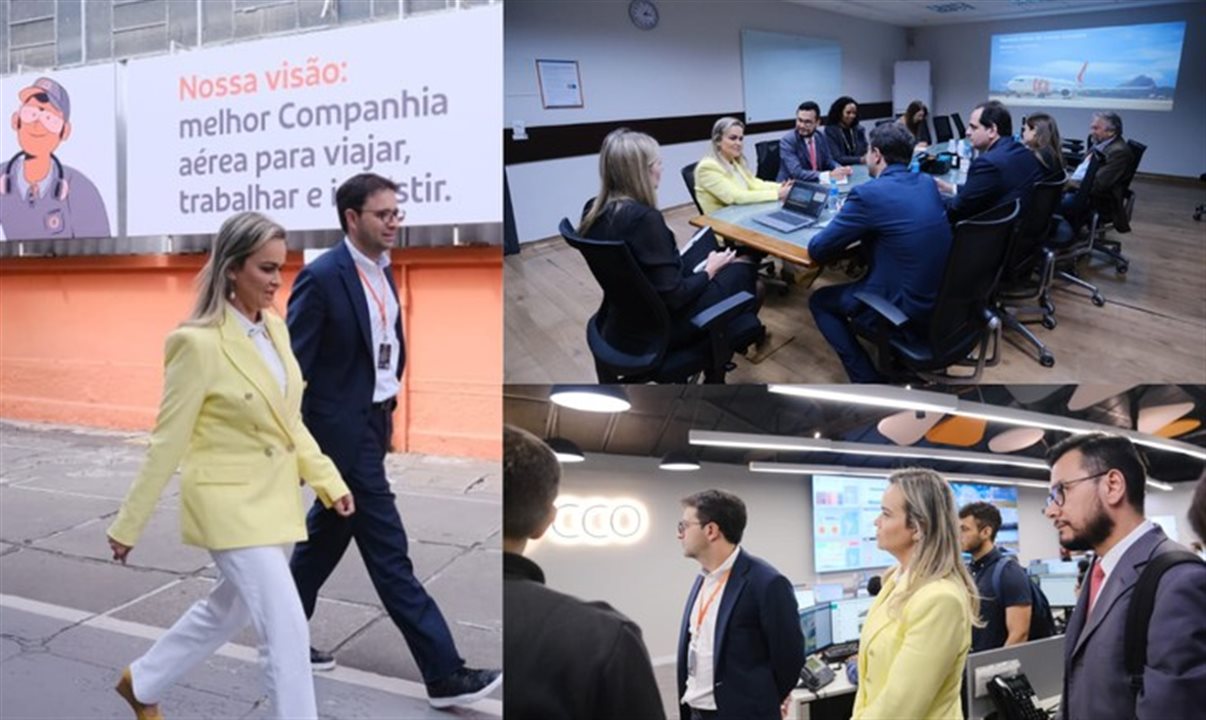 Daniela Carneiro encontrou com líderes e representantes das companhias em São Paulo