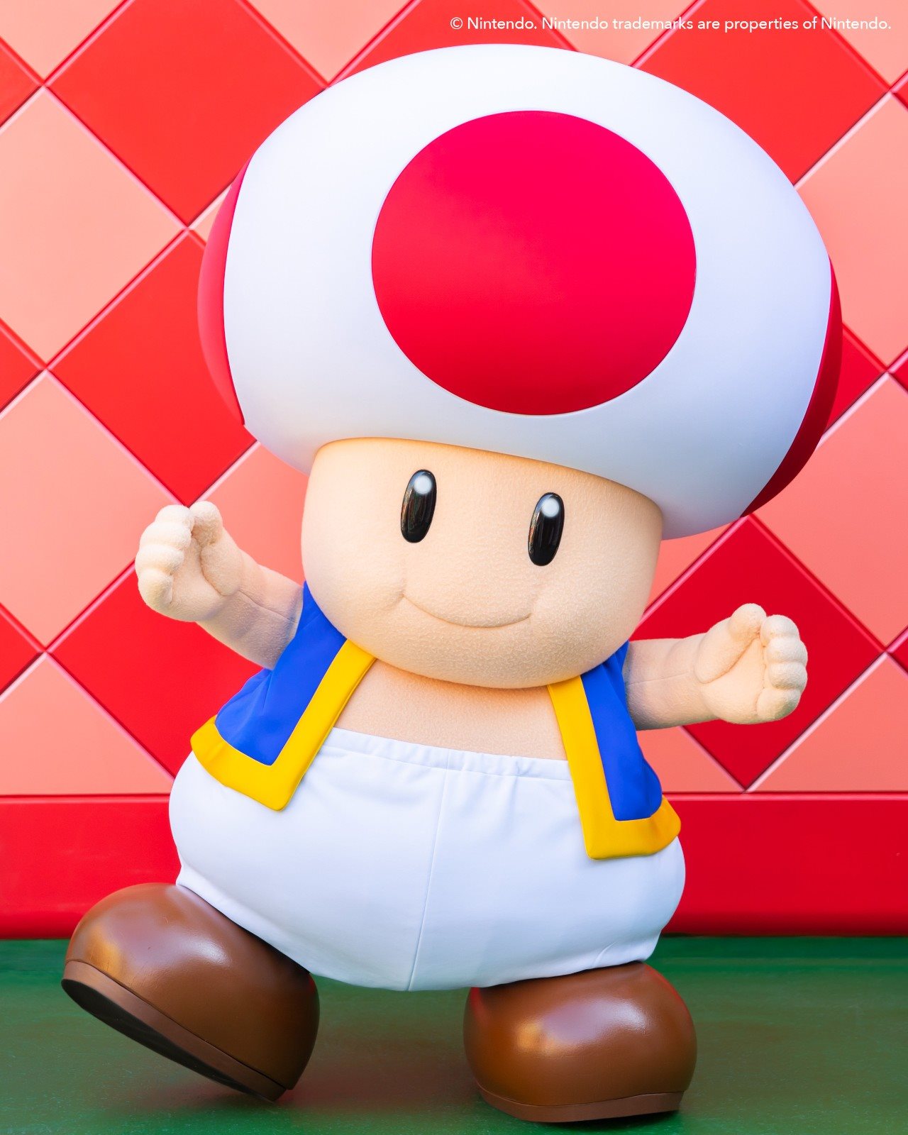 Toad, novo personagem do Super Nintendo World