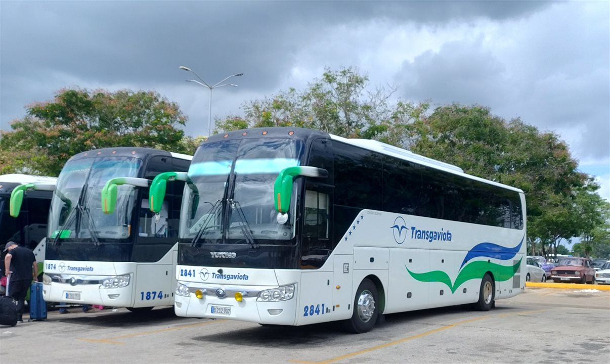 Ônibus da Gaviota responsável pelo transporte dos convidados