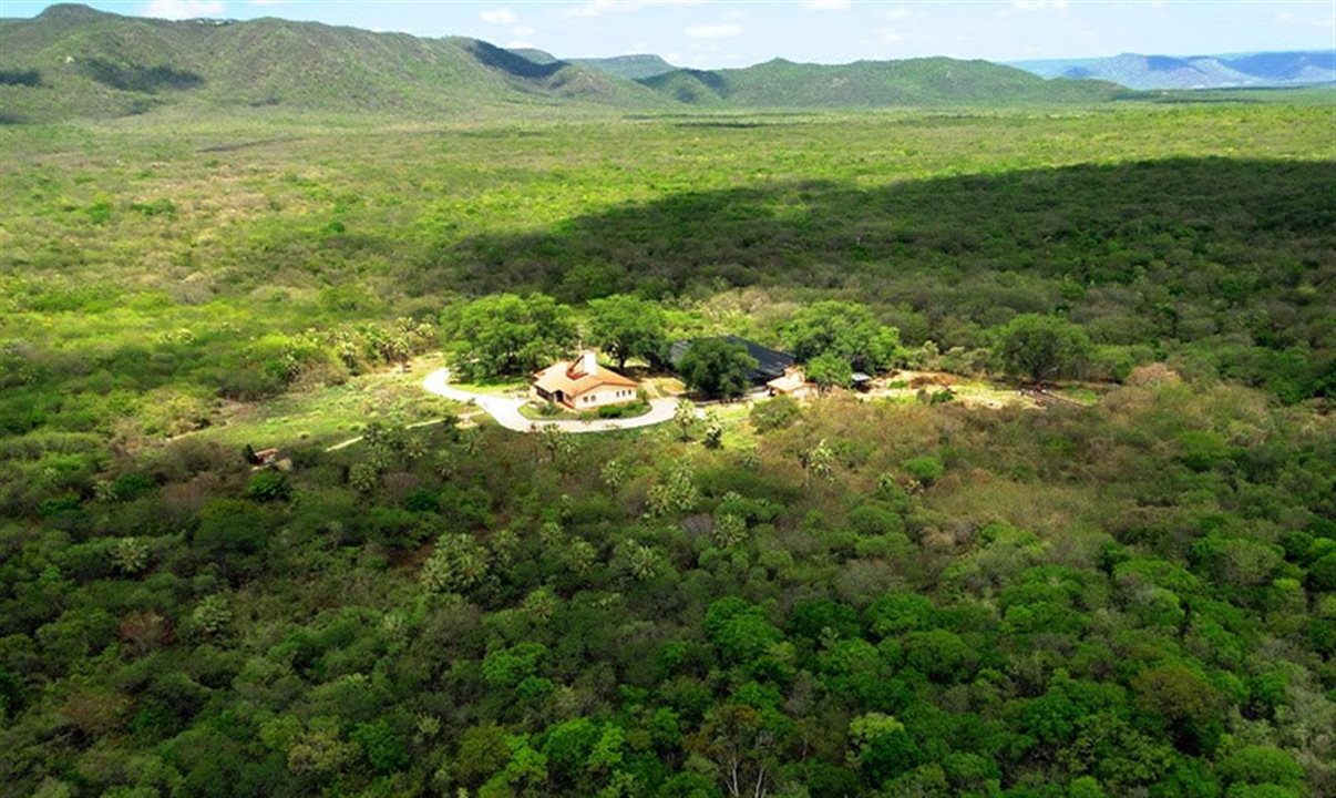Reserva Natural Serra das Almas fica localizada entre os municípios de Crateús (CE) e Buriti dos Montes (PI), a 400 km de Fortaleza