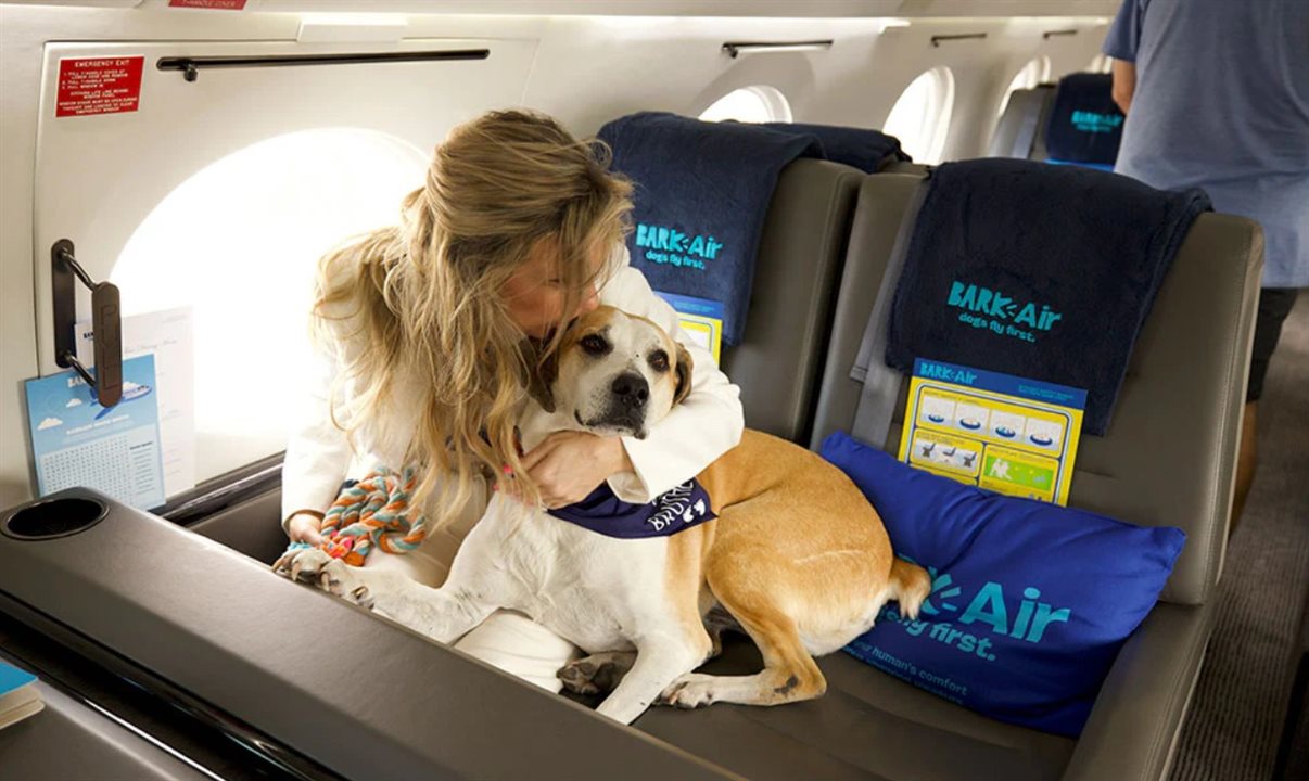 No momento da reserva e até no aeroporto, um concierge da Bark Air irá auxiliar os cachorrinhos e seus donos na ambientação