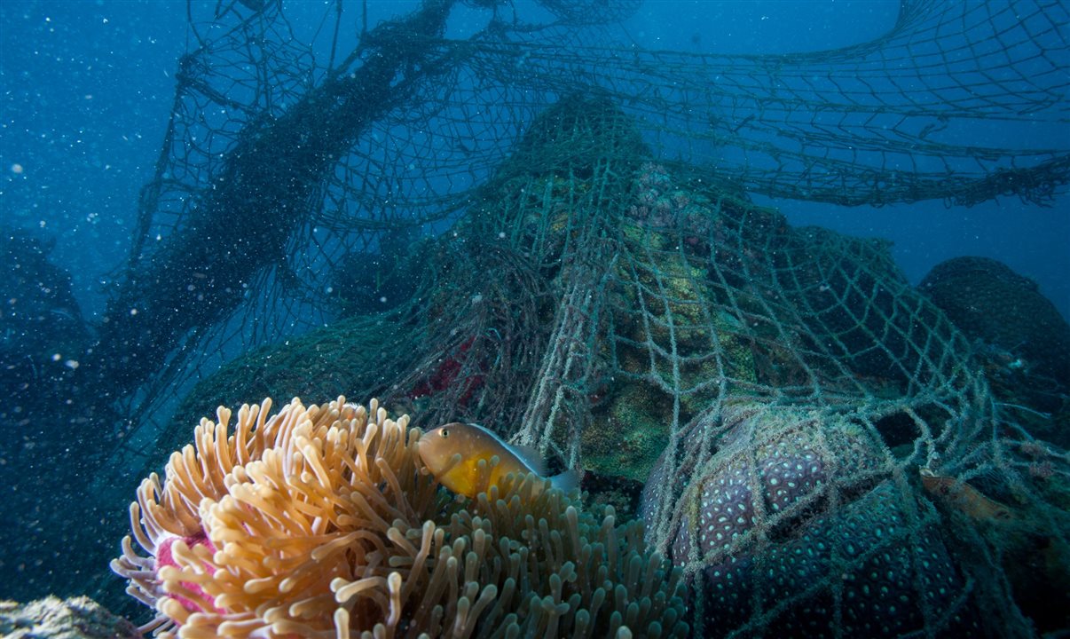 Parceria fará com que Novotel patrocine vários projetos críticos de conservação dos oceanos da WWF em todo o mundo