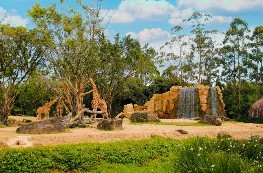 Zoo do Beto Carrero World fecha as portas hoje