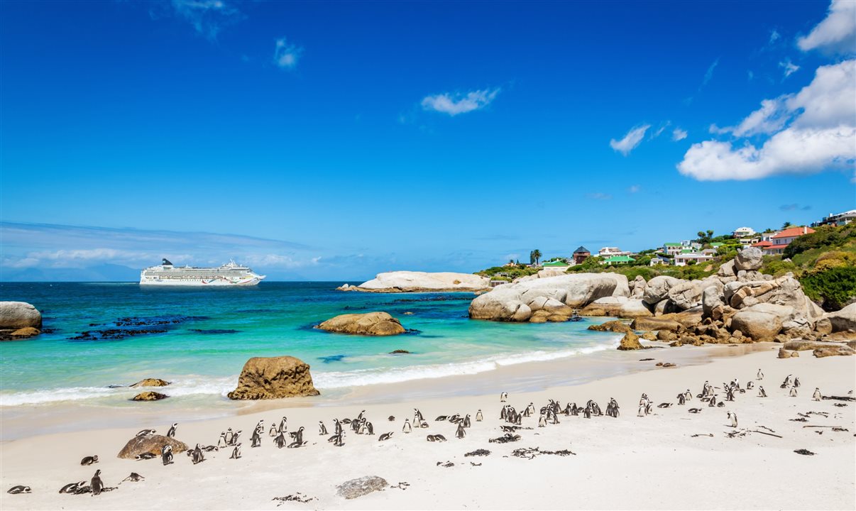 Cape Town, na África do Sul, é um dos destinos operados pela NCL. Quem faz o ininerário pelo destino africano é o Norwegian Dawn