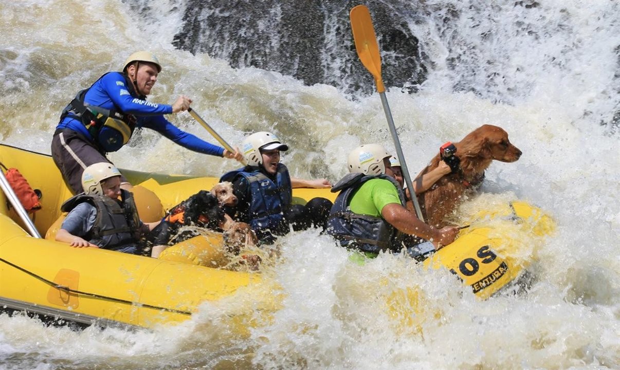 Rafting Dog em Socorro (SP)