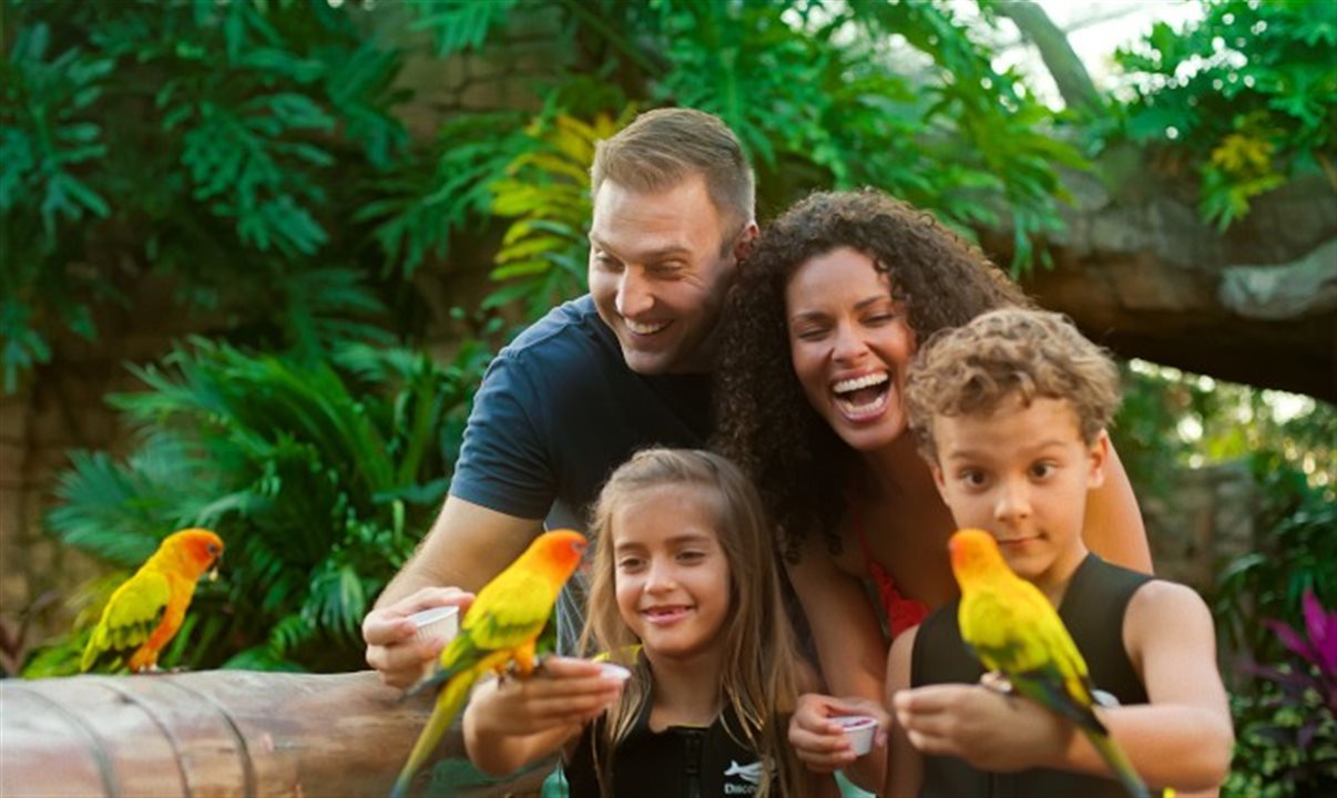 Parque é ideal para famílias que buscam um dia de diversão e relaxamento em meio à natureza