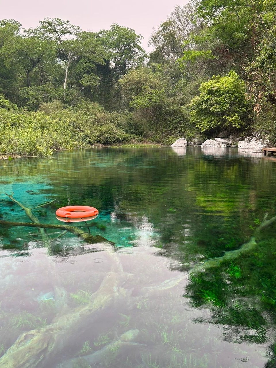 Nascentes Rio Azul, atrativo de flutuação na Bodoquena