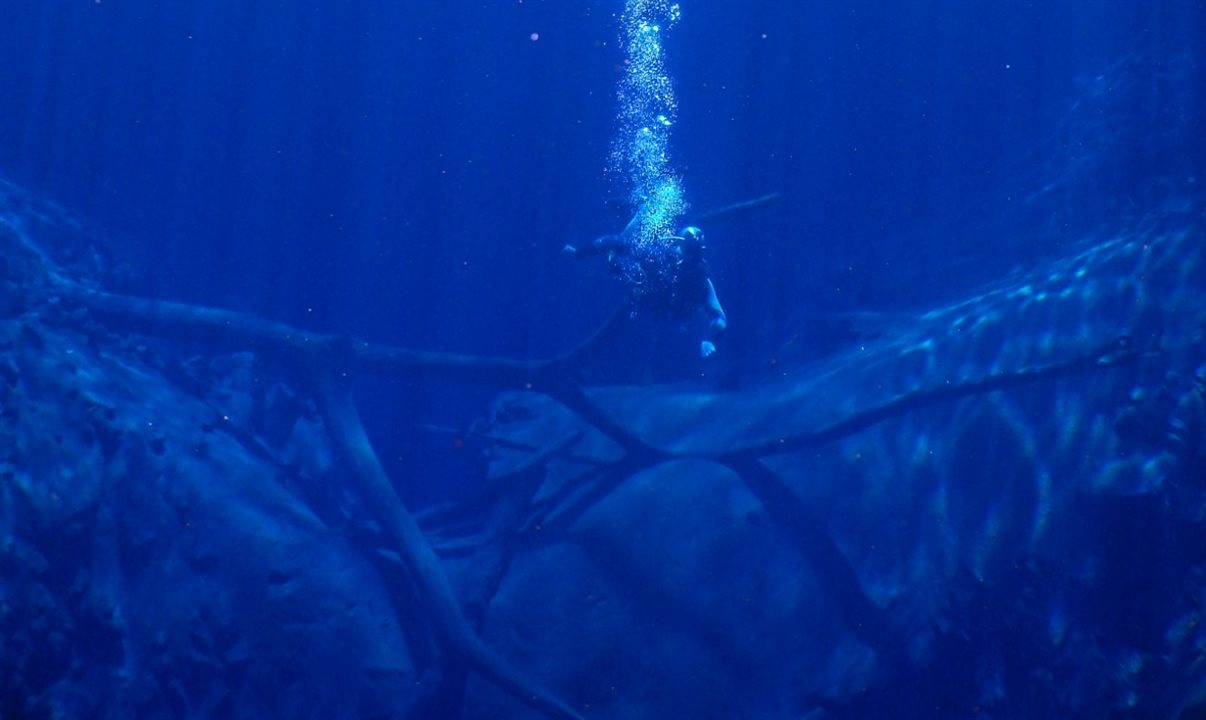 Bonito, no Mato Grosso do Sul, é um paraíso ecológico conhecido por suas águas cristalinas