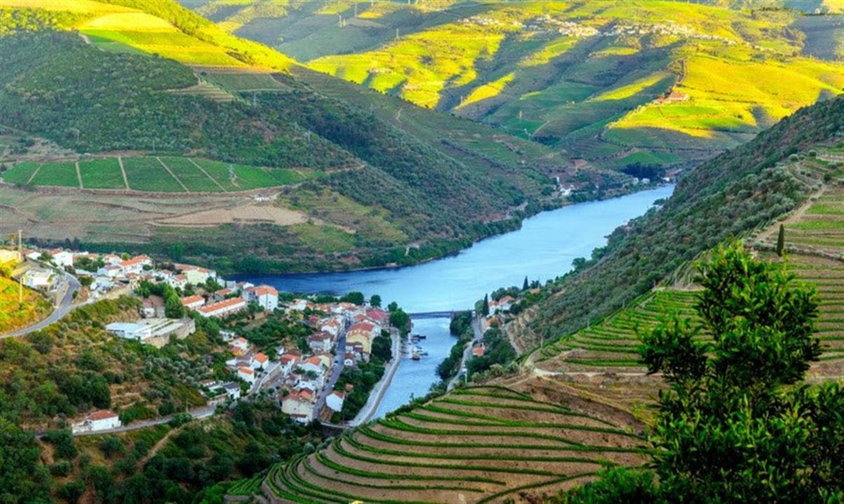 Vale do Douro