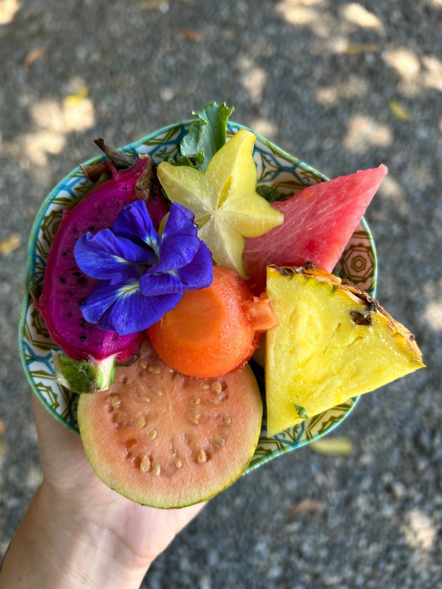 Visitantes são recepcionados com um banquete colorido: flor azul comestível, pitaya, goiaba, carambola, mamão, abacaxi e melancia