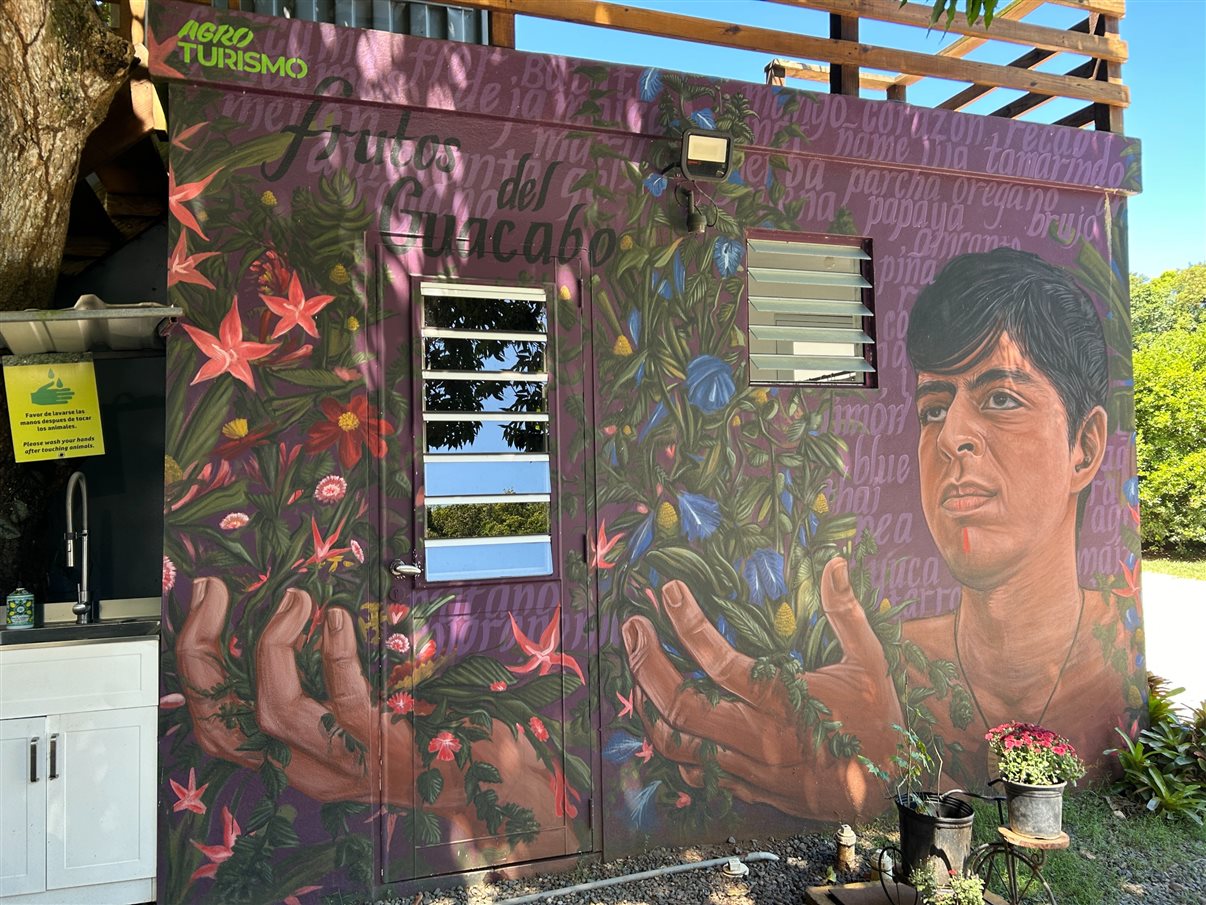 Visitantes são recepcionados com um banquete colorido: flor azul comestível, pitaya, goiaba, carambola, mamão, abacaxi e melancia