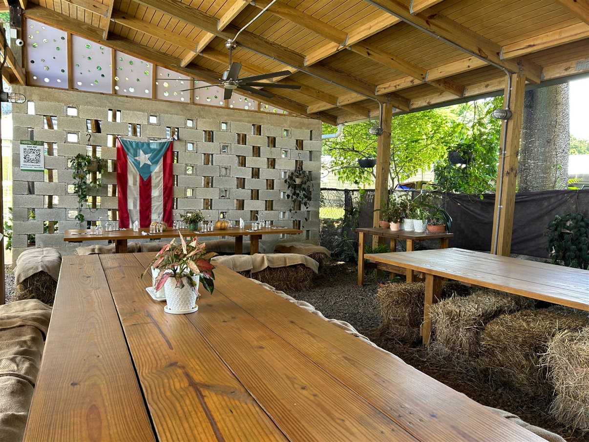 Visitantes são recepcionados com um banquete colorido: flor azul comestível, pitaya, goiaba, carambola, mamão, abacaxi e melancia