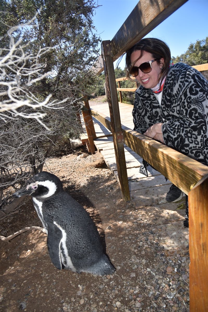 Marina Figueiredo, da Braztoa, posa com um pinguim